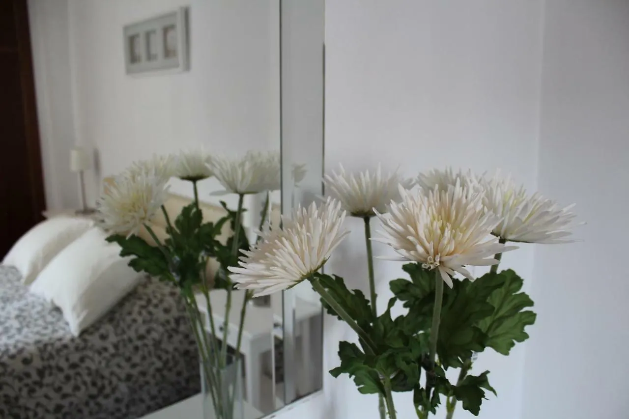 Playa Viginia Apartment Malaga